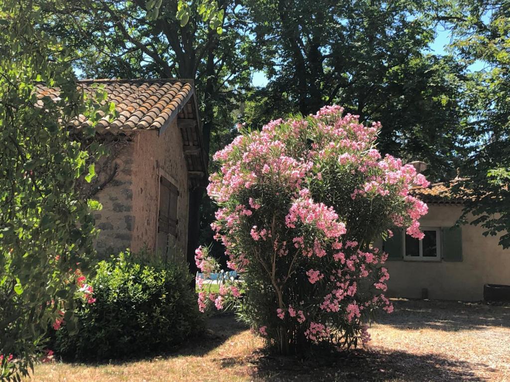 Bed and Breakfast Le Nid des Corbières Bizanet Esterno foto